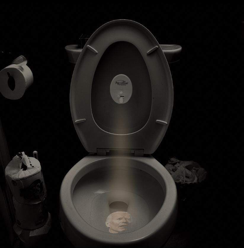 Pee-Litical Target Toilet Light Projector